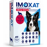 Imoxat 250 mg+62,5 mg nagytestű kutyáknak 10-25 kg 2,5 ml 3x