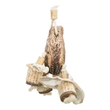 Játék madaraknak mahagóni hüvely/tengeri kagyló 26cm