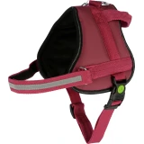 KERBL Maestro 2.0 hám, burgundy, azonosító tubussal, 83-113 cm, 38 mm