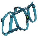 KERBL Miami Panic hám, petrol, 15 mm, 38-52 cm