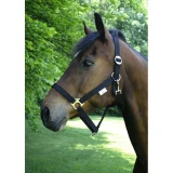 Kötöfék Classic 1. Fekete