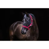 Kötöfék Classic 1. Piros