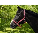 Kötöfék Classic 3. Piros