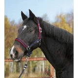 Kötőfék Dexter w/fleecepadding blue, size 3