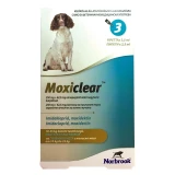 Moxiclear 250 mg+62,5 mg nagytestű kutyáknak 10-25 kg 2,5 ml 3x