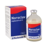 Noroclav 140/35 mg/ml injekció 100 ml