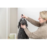 Trixie Nyírógép Slim TR500 vezeték nélküli szett, 3 W, fehér/fekete