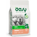 Oasy Dog OAP Adult Medium/Large Salmon 2,5kg