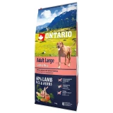 Ontario Adult Large Bárány&Rizs 12kg