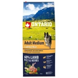 Ontario Adult Medium Bárány&Rizs 12kg