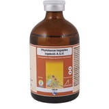 Phytolacca-Logoplex 100 ml