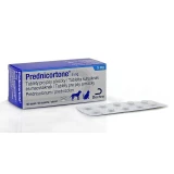 Prednicortone 5 mg tabletta kutyáknak és macskáknak 100X