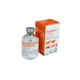 Rapidexon injekció 50 ml