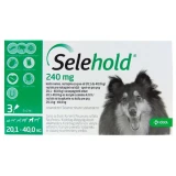 Selehold 240 mg 20,1-40 kg kutyáknak 2 ml 3x