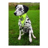 Trixie Biztonsági Kendő Kutyának S–m 29–42cm