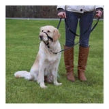 Trixie Hám Top Trainer Xl 46cm,fekete