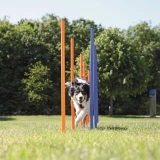 Trixie Játék Dog Activity Agility Szlalom 12db 115x3cm Kék/Narancs