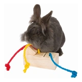 Trixie Jutalomfalat tartó játék, snack box, rágcsálónak 15*5,5*6cm