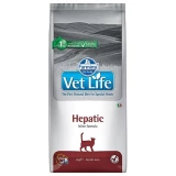 Vet Life Cat Hepatic 2 Kg