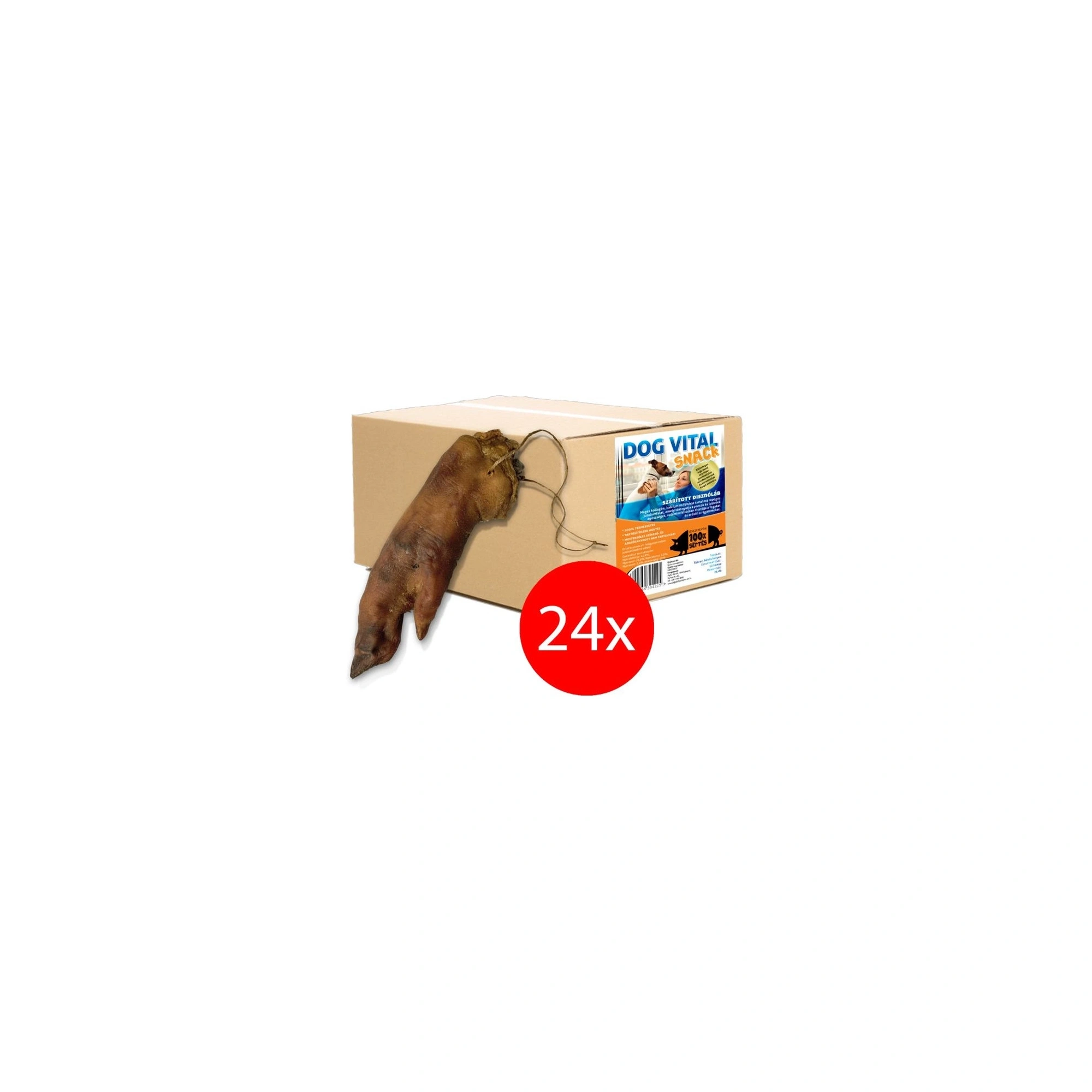 Dog Vital Disznóláb 24db/karton