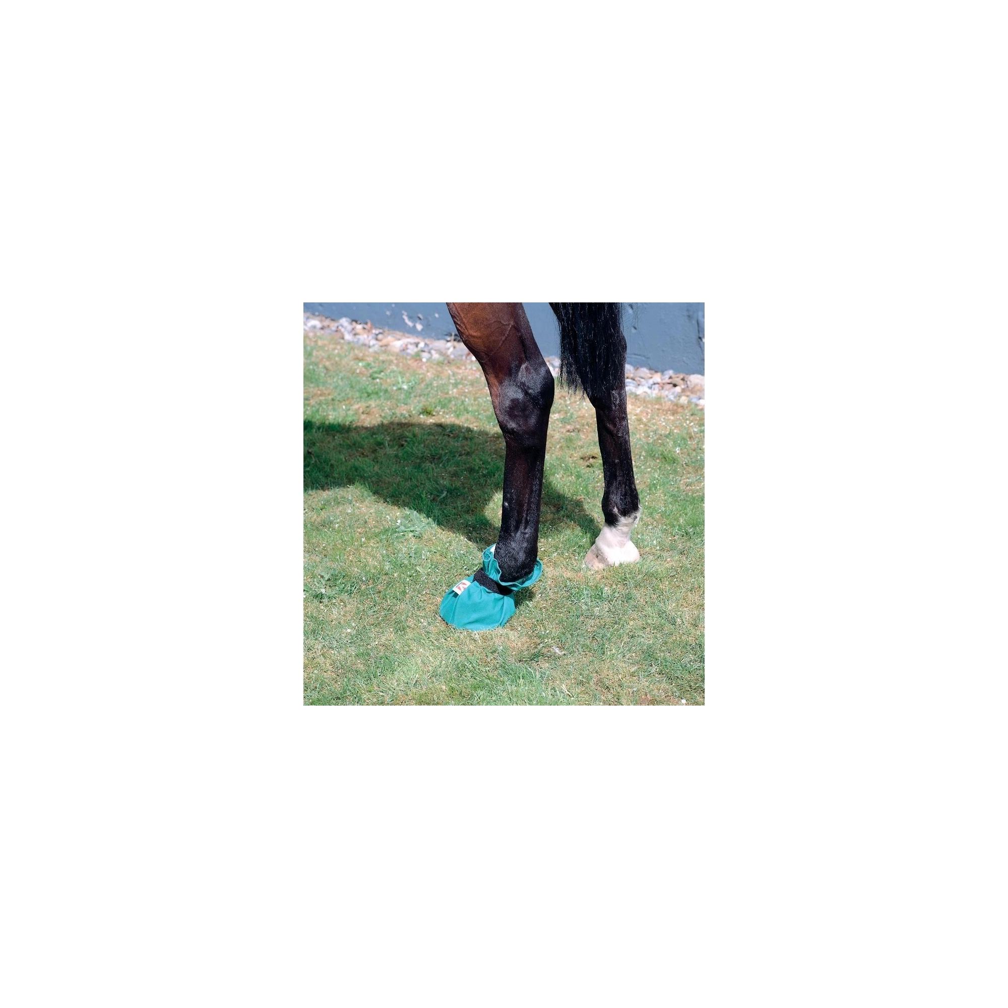 Equivet Hoof-it bag L-es