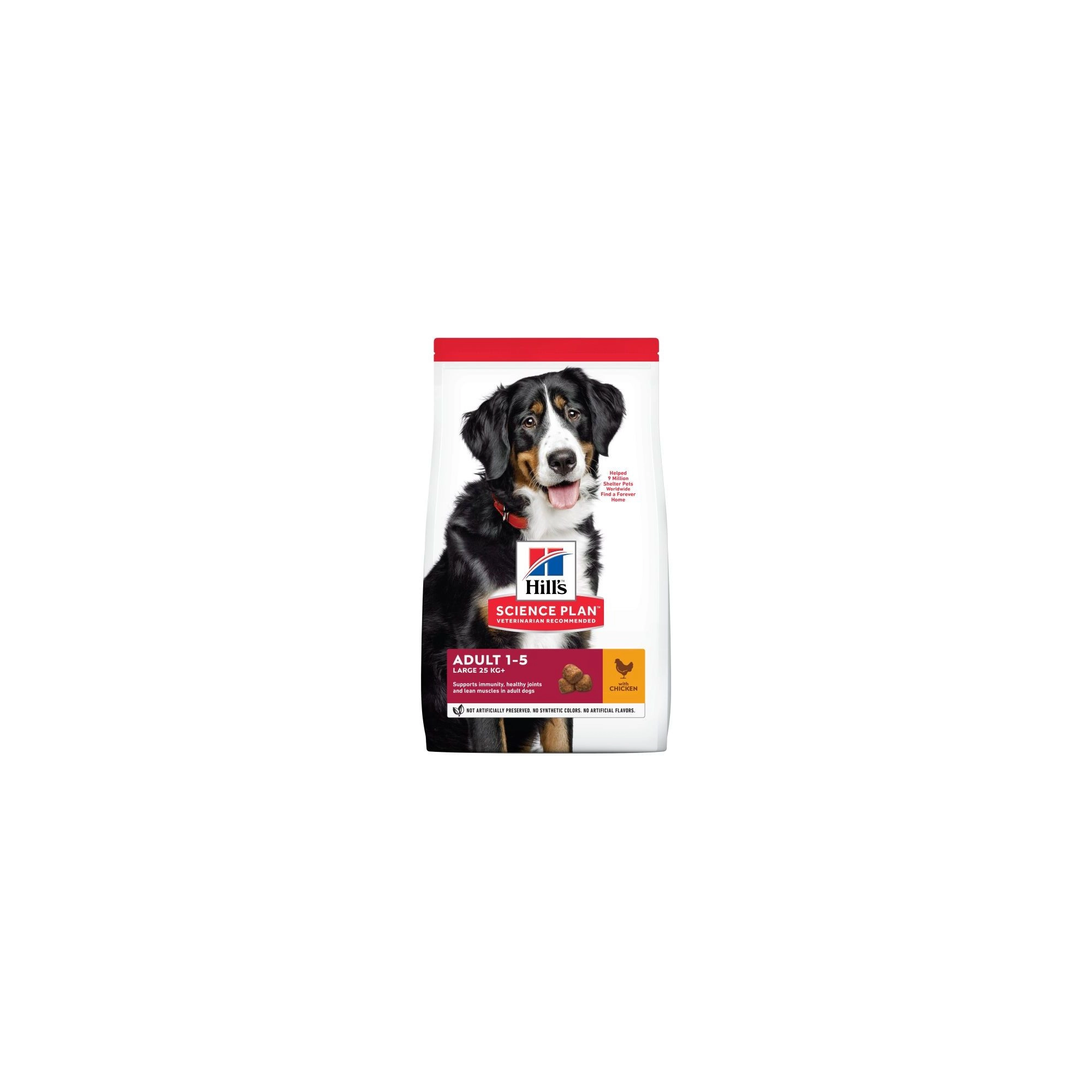 Hills Science Plan Canine Adult Large Breed 18 kg Valpk