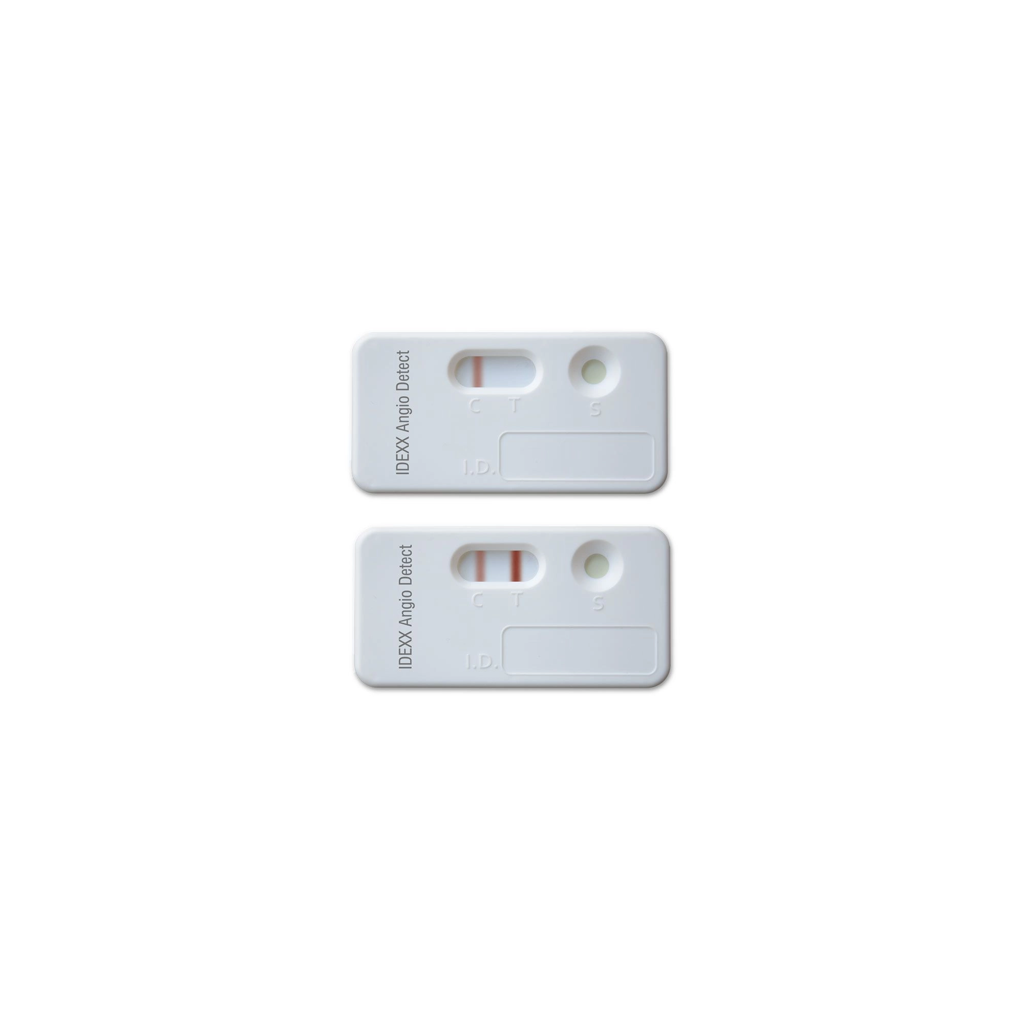 IDEXX Angio gyorsteszt