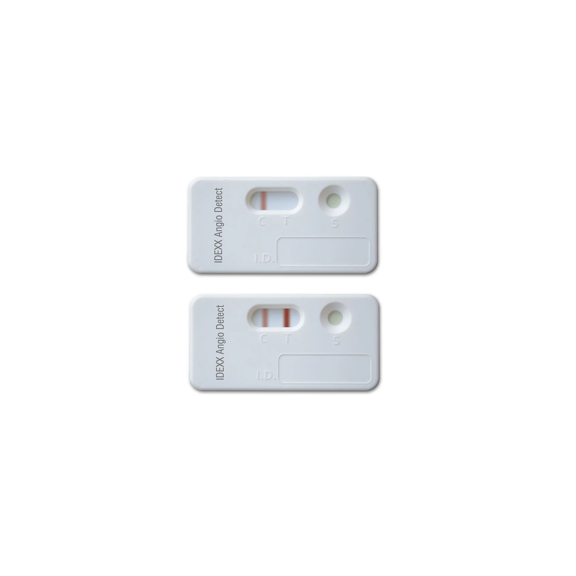 IDEXX Angio teszt 20 db