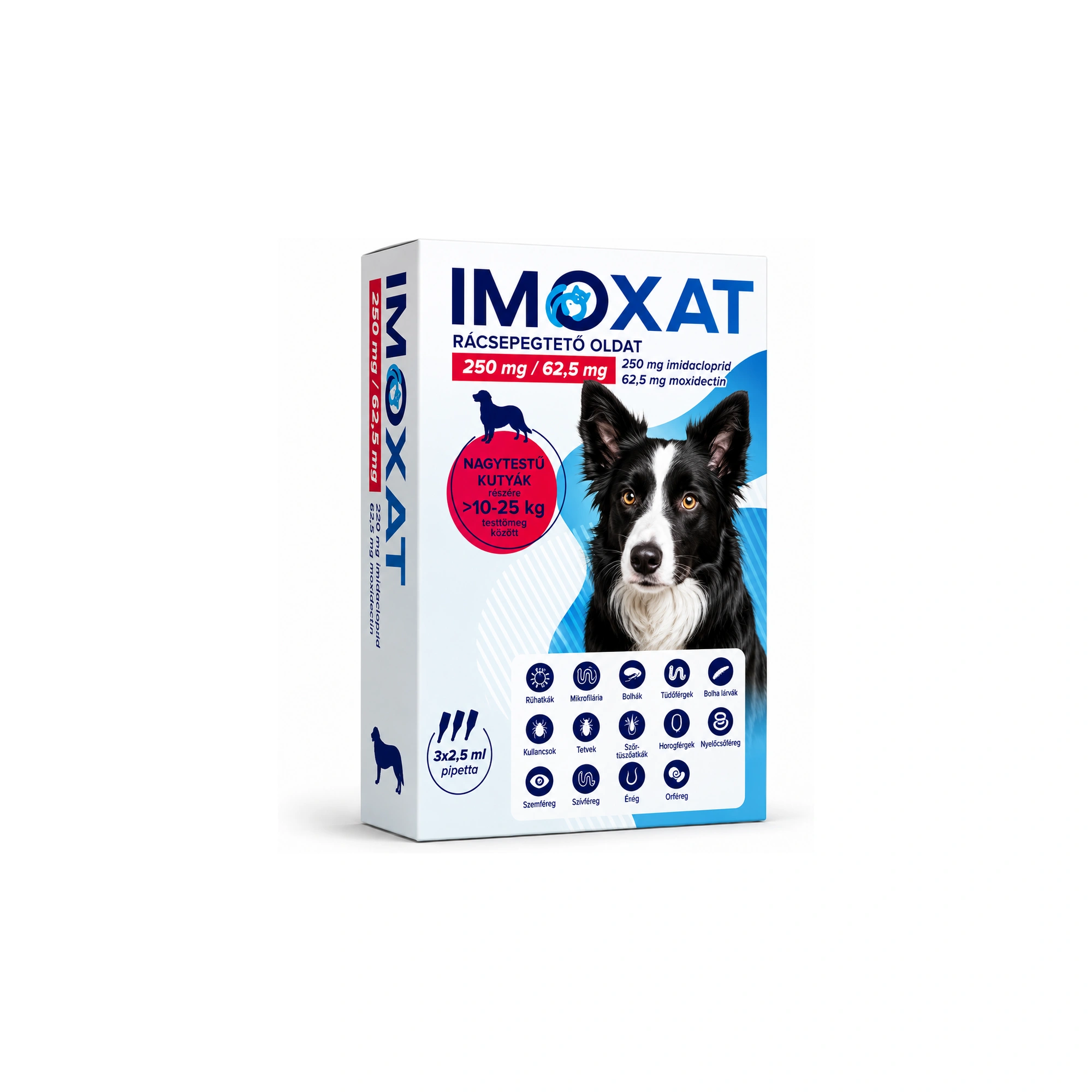 Imoxat 250 mg+62,5 mg nagytestű kutyáknak 10-25 kg 2,5 ml 3x