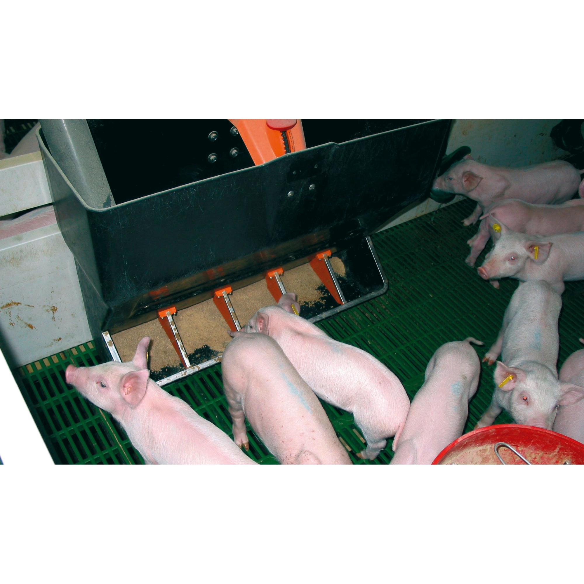 KERBL Rotecna TR5 5fh malacetető