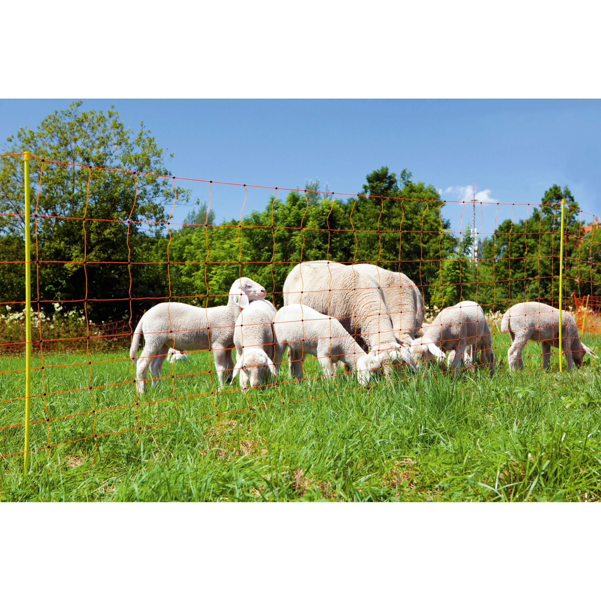 KERBL Villanypásztor Juhháló Ovinet 108cm 50m