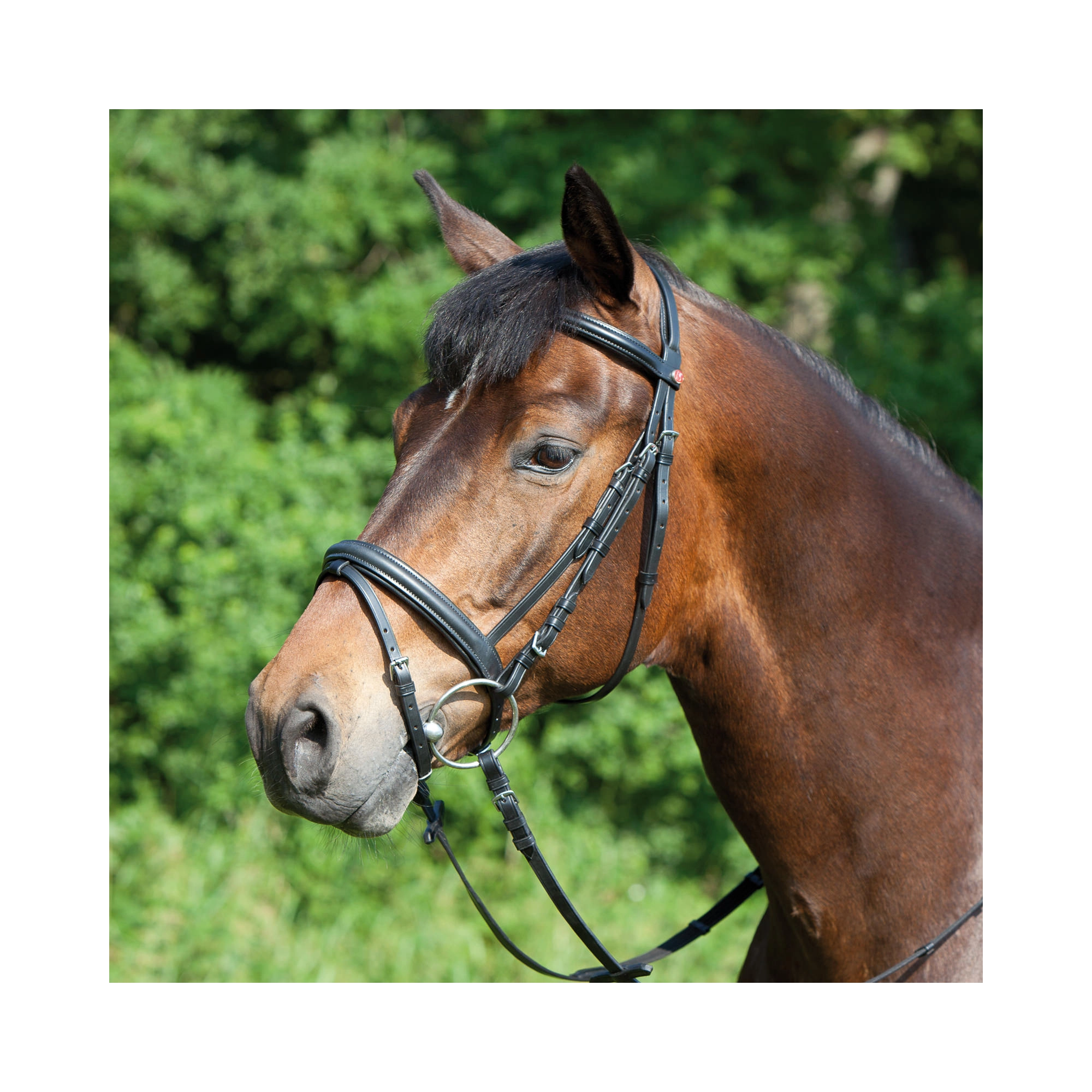 Kieffer Ergonomic Line kantár, barna full