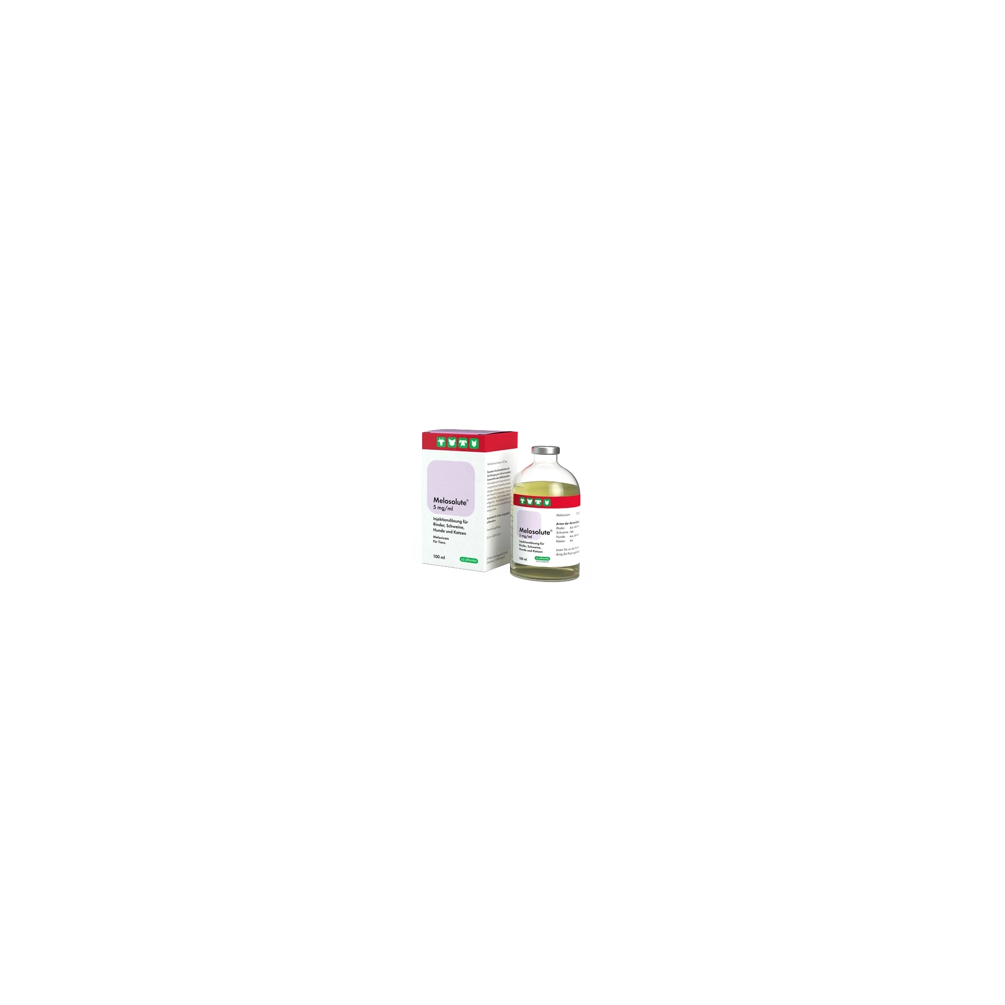 Melosolute 5 mg/ml 100 ml
