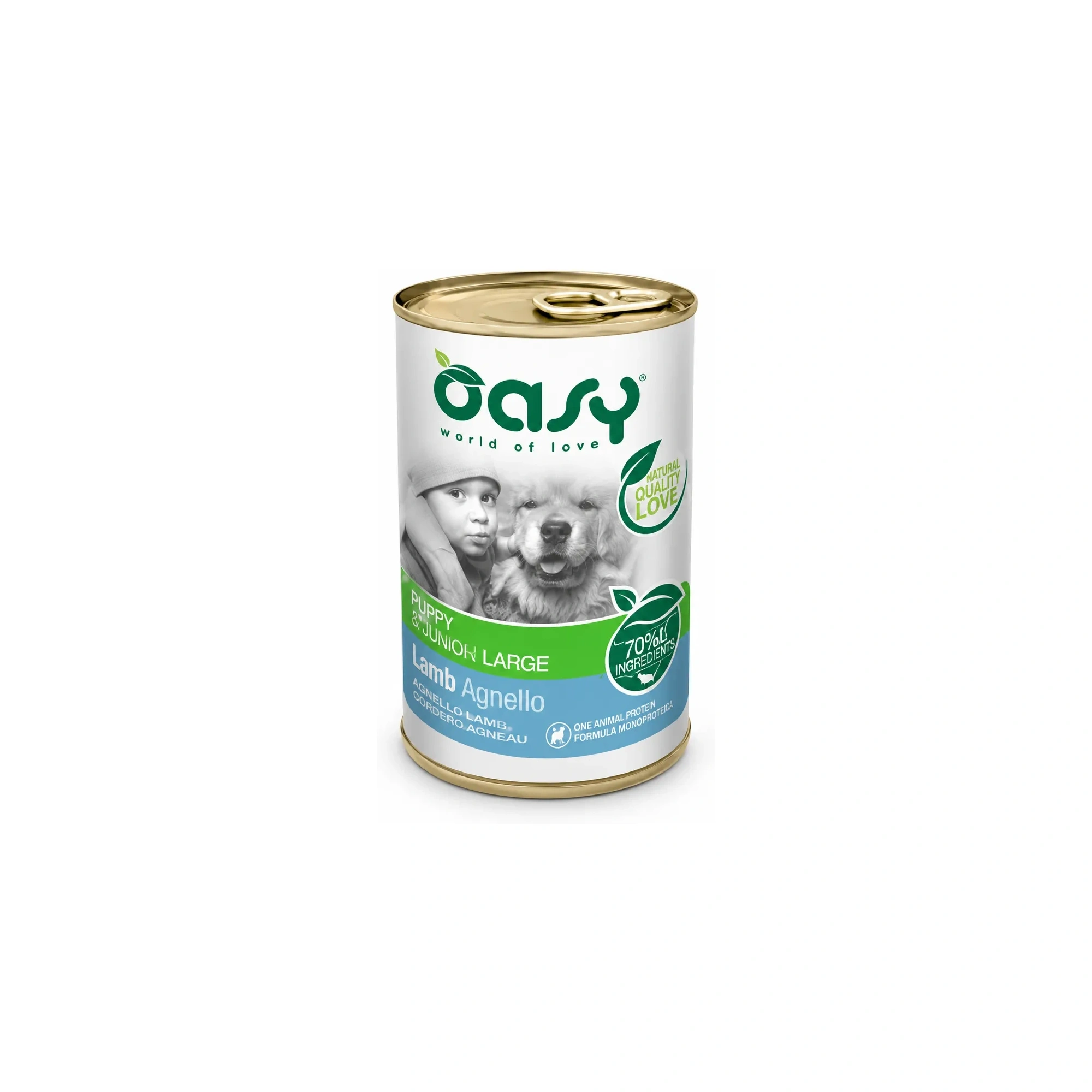 Oasy Dog Konzerv OP Adult Medium/Large Pork 400g