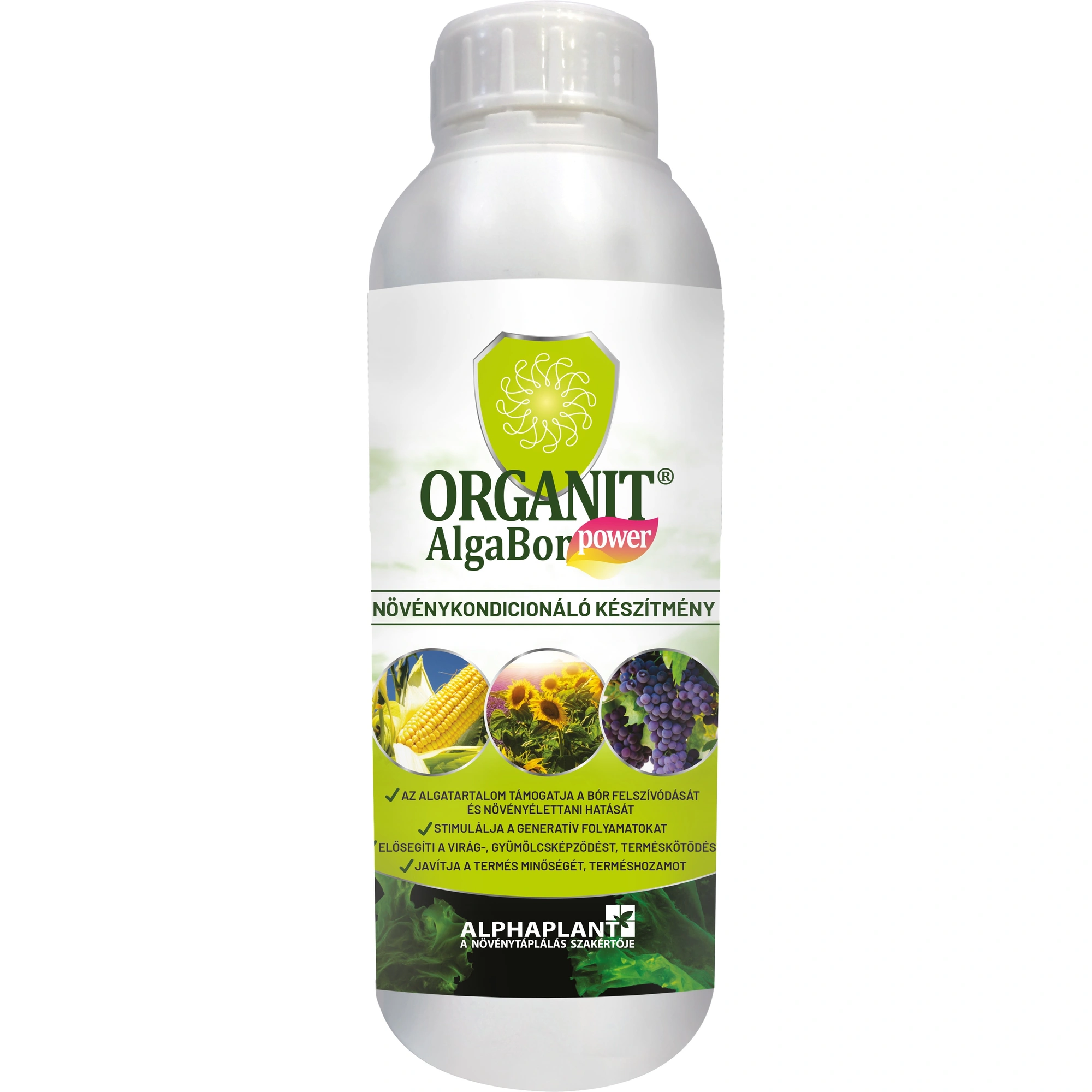 Organit AlgaBór Power 1 l