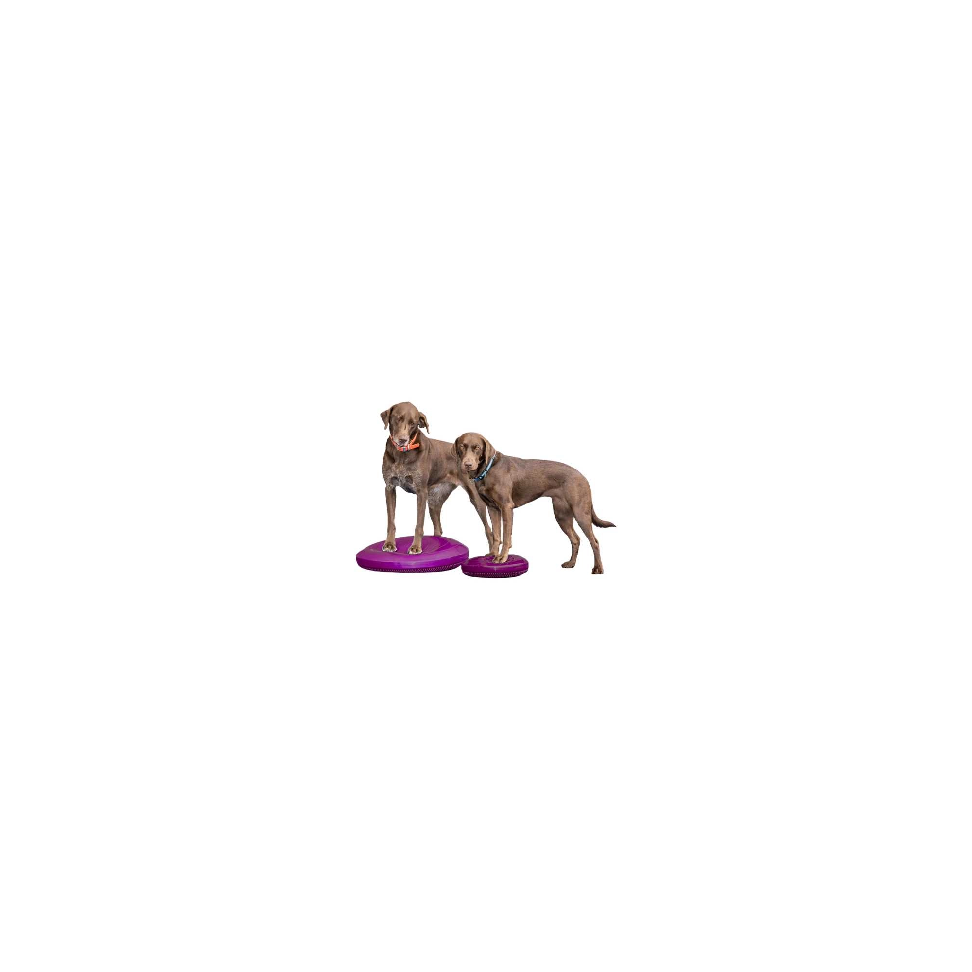 Paw Prosper FitPaws alakú razzleberry balance párna 22 cm