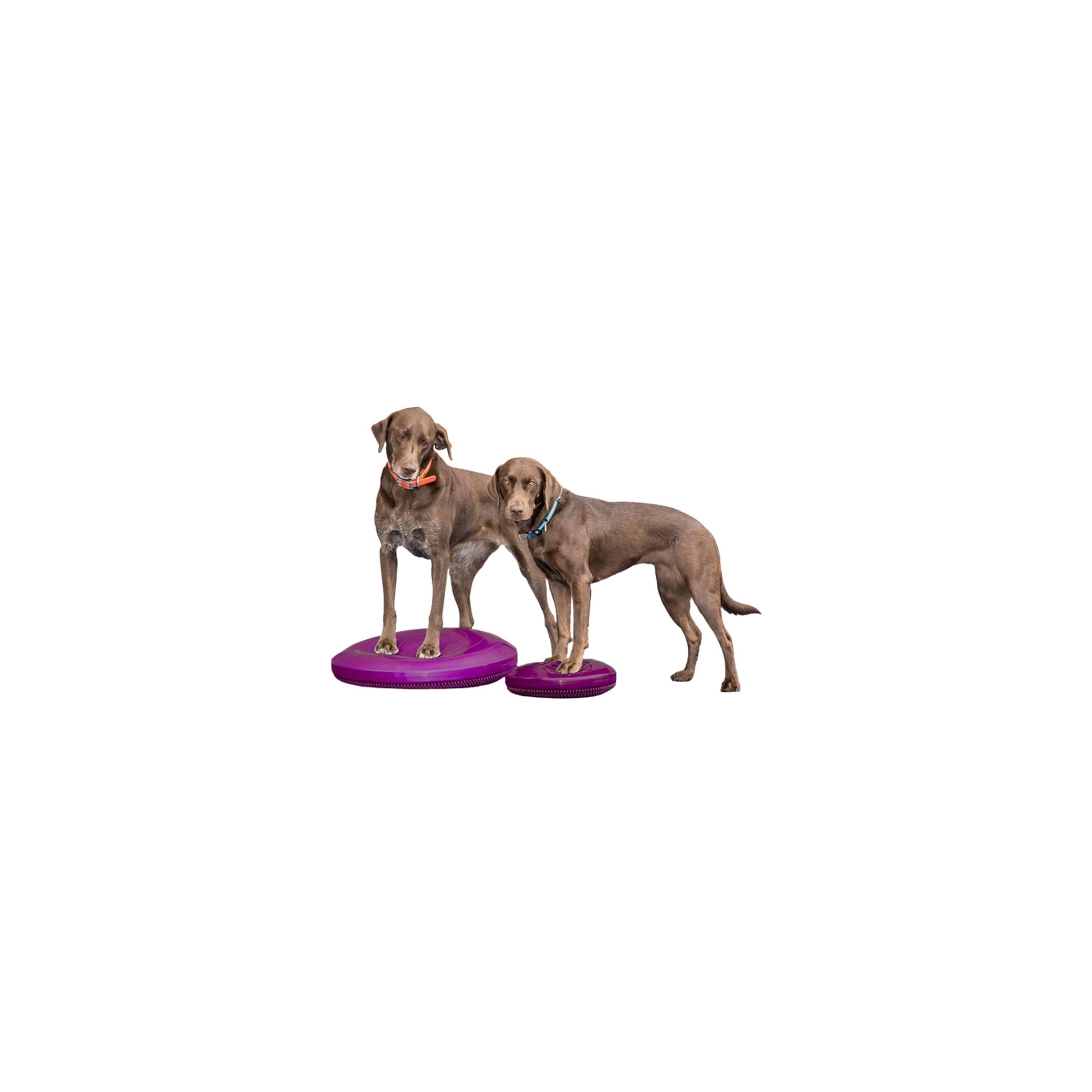 Paw Prosper FitPaws kör alakú razzleberry balance párna 14 cm