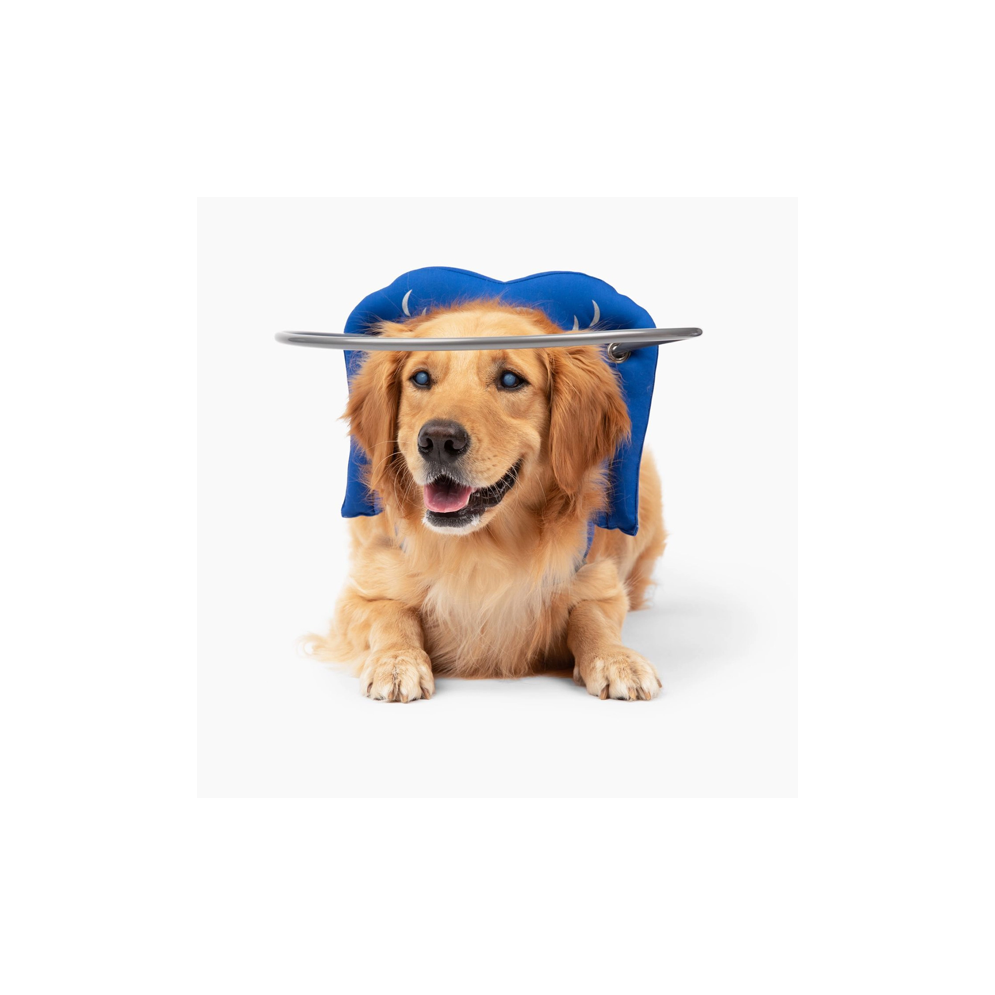Paw Prosper Muffin s Halo vakvezető kutya - kék - 6-os méret