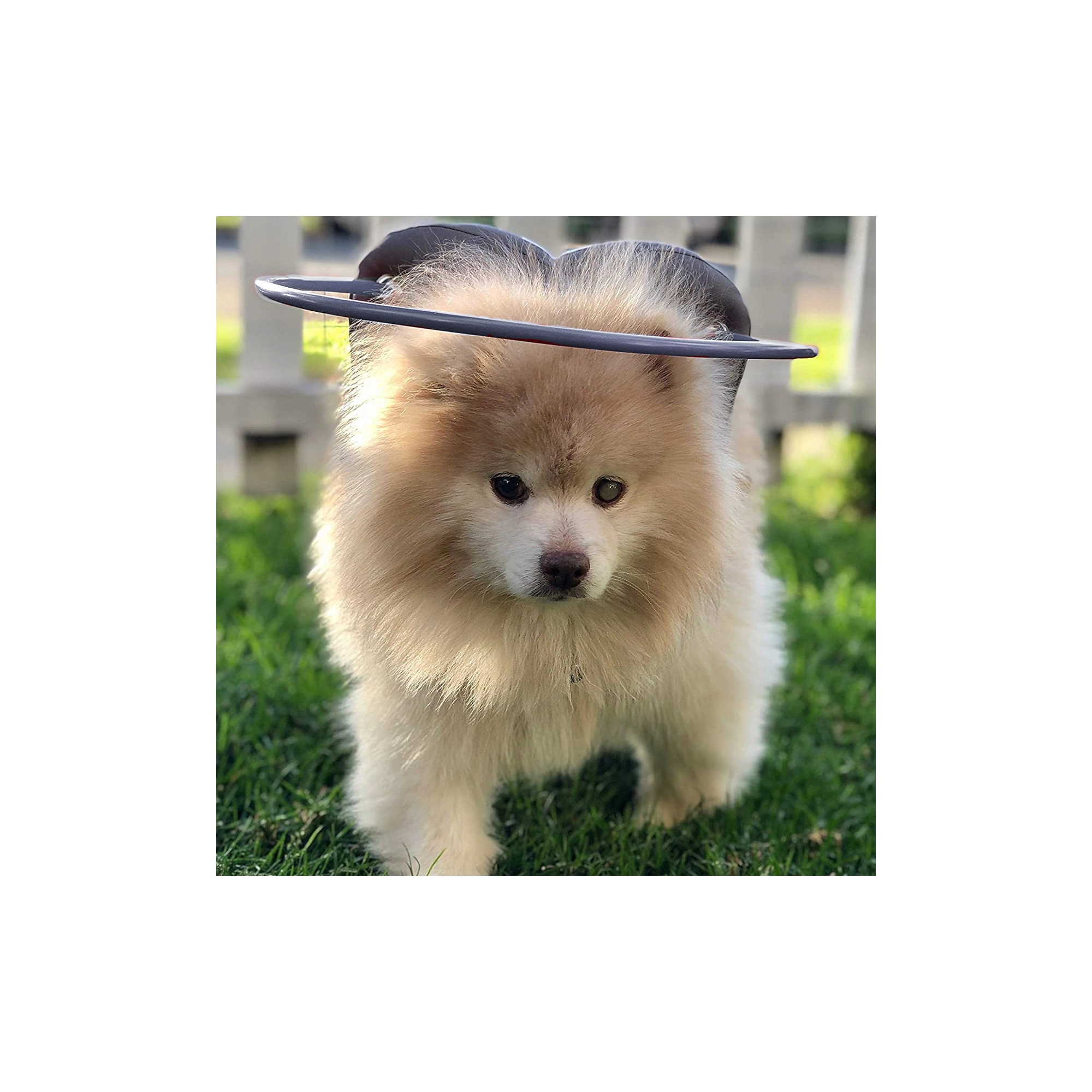 Paw Prosper Muffin's Halo vakvezető kutya - szürke - 9-es méret