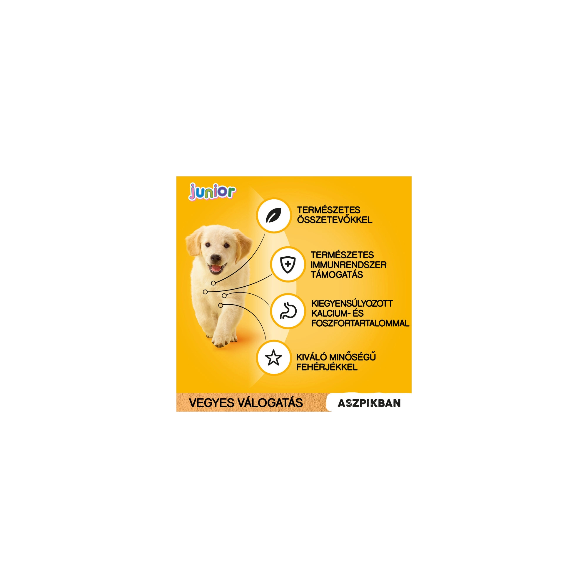 PEDIGREE alutasak 12-pack JUNIOR 12*100g Multipack