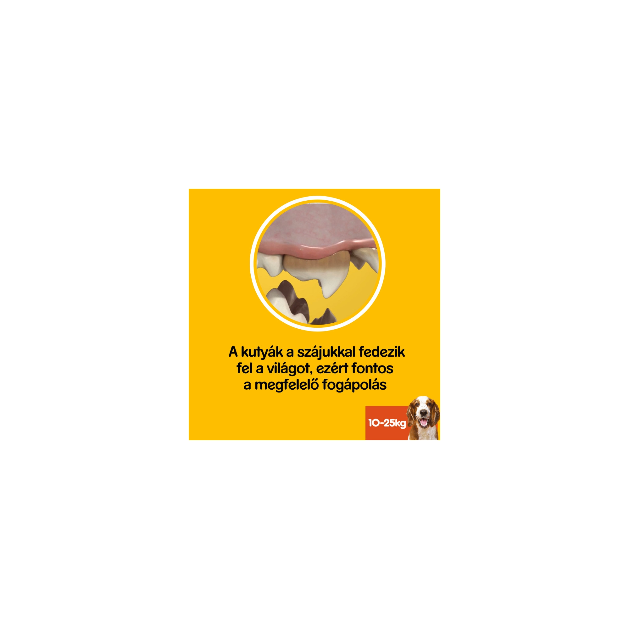 Pedigree Denta Stix 7db Med/Large 180g