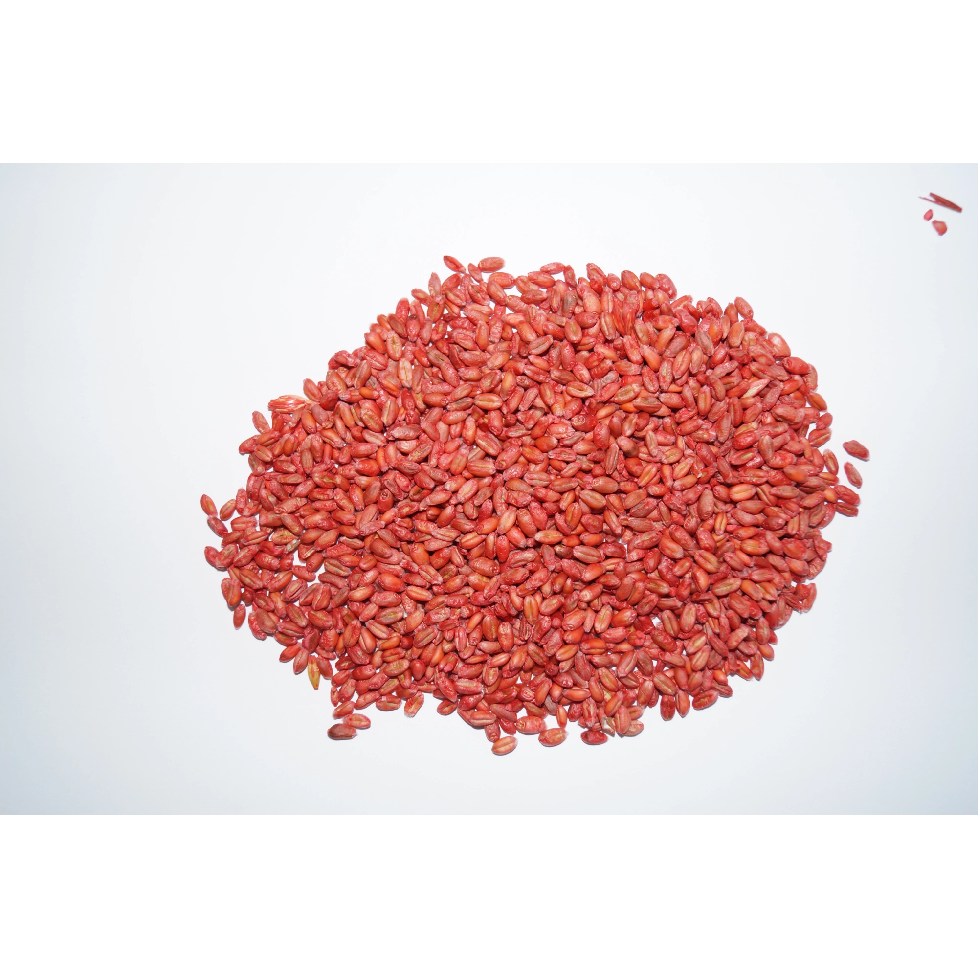 Ratidur rágcsálóirtó szer szemes 20 kg (50ppm)