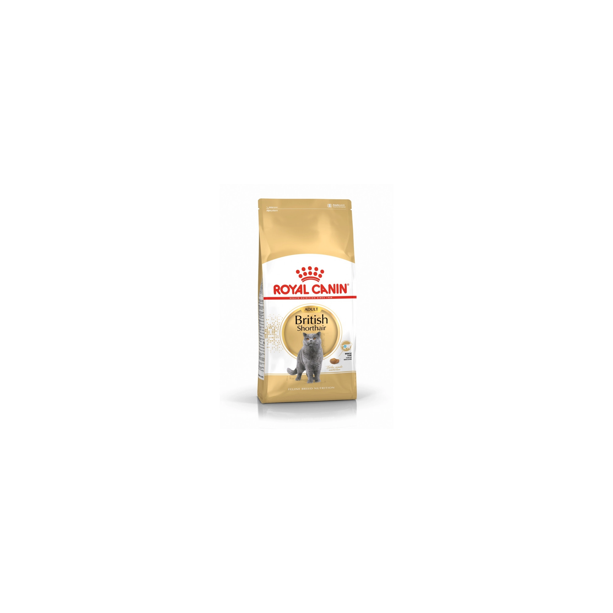 Royal Canin British Shorthair Adult 10kg-Brit rövidszőrű felnőtt macska száraz táp