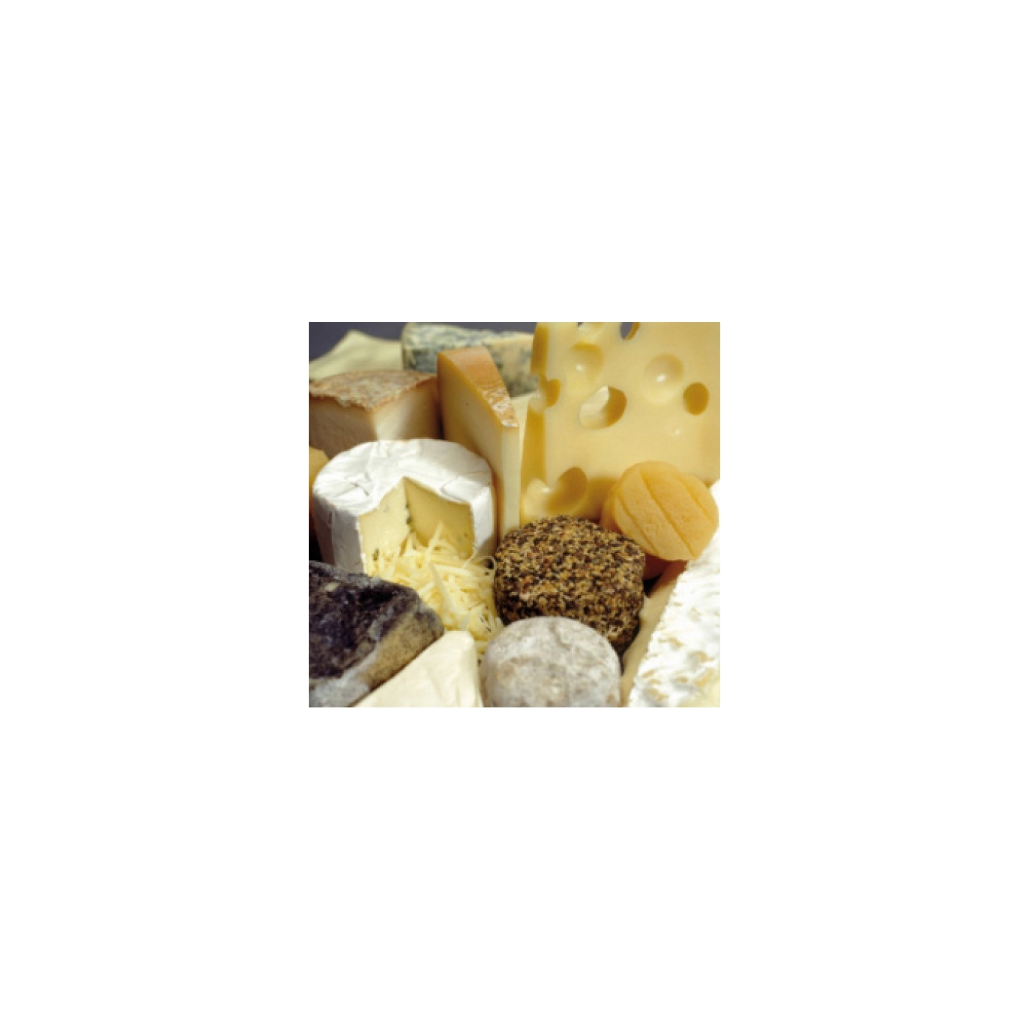 Sajtkultúra CHOOZIT Ezal Ma 4001 LYO 5 DCU Félkemény Mozzarella Jellegű