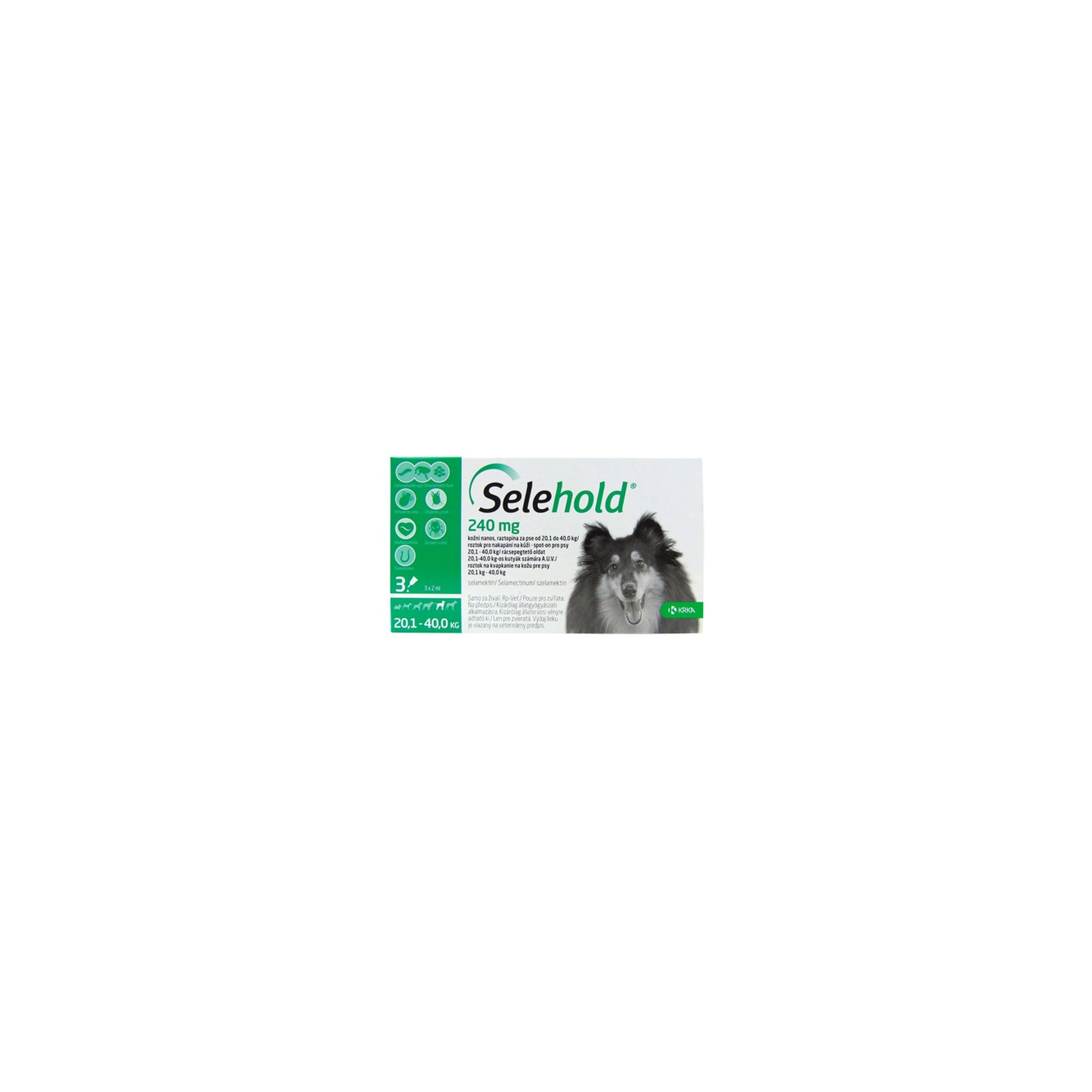 Selehold 240 mg 20,1-40 kg kutyáknak 2 ml 3x