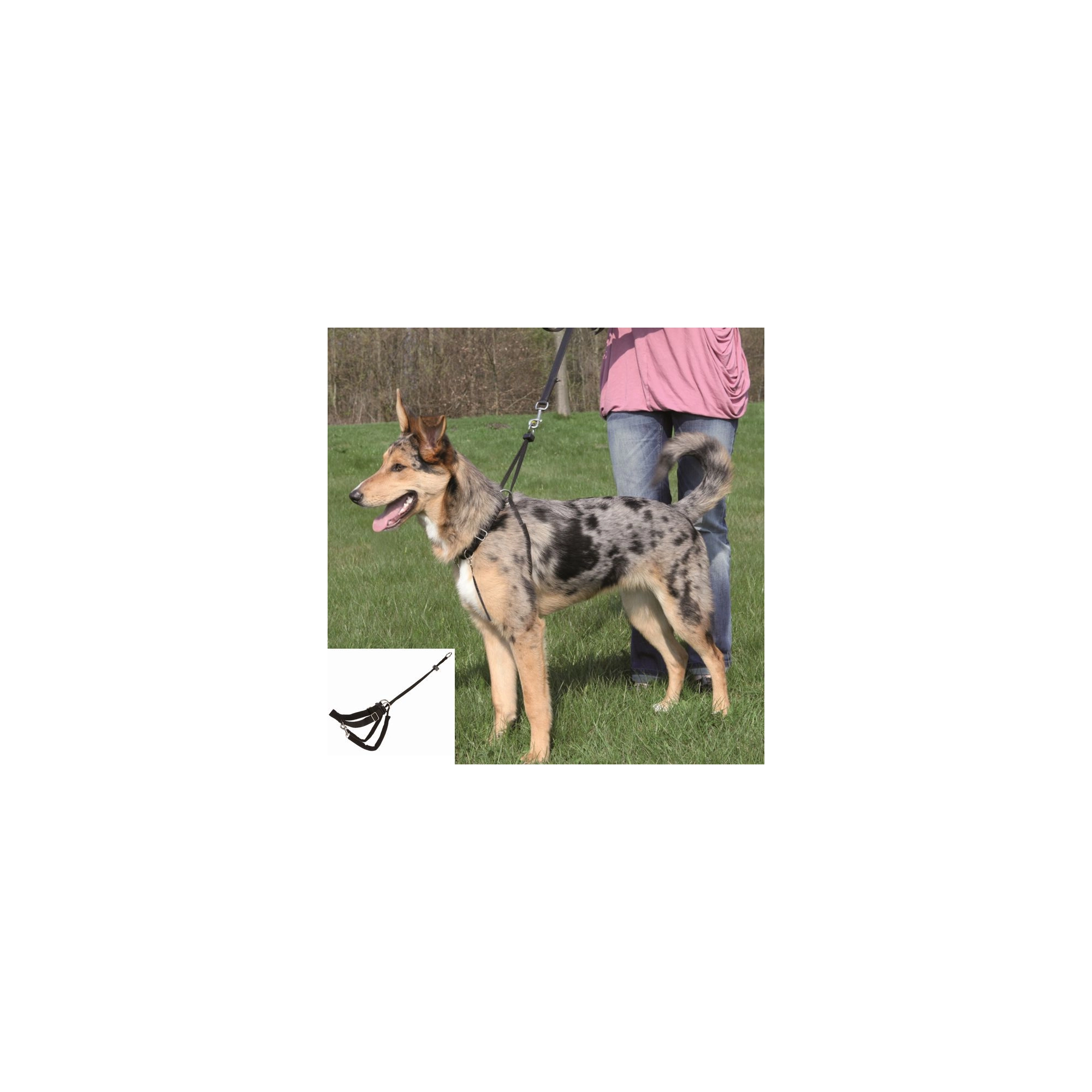 Trixie Hám Lead n Walk Training S 27–36cm/20mm,fekete