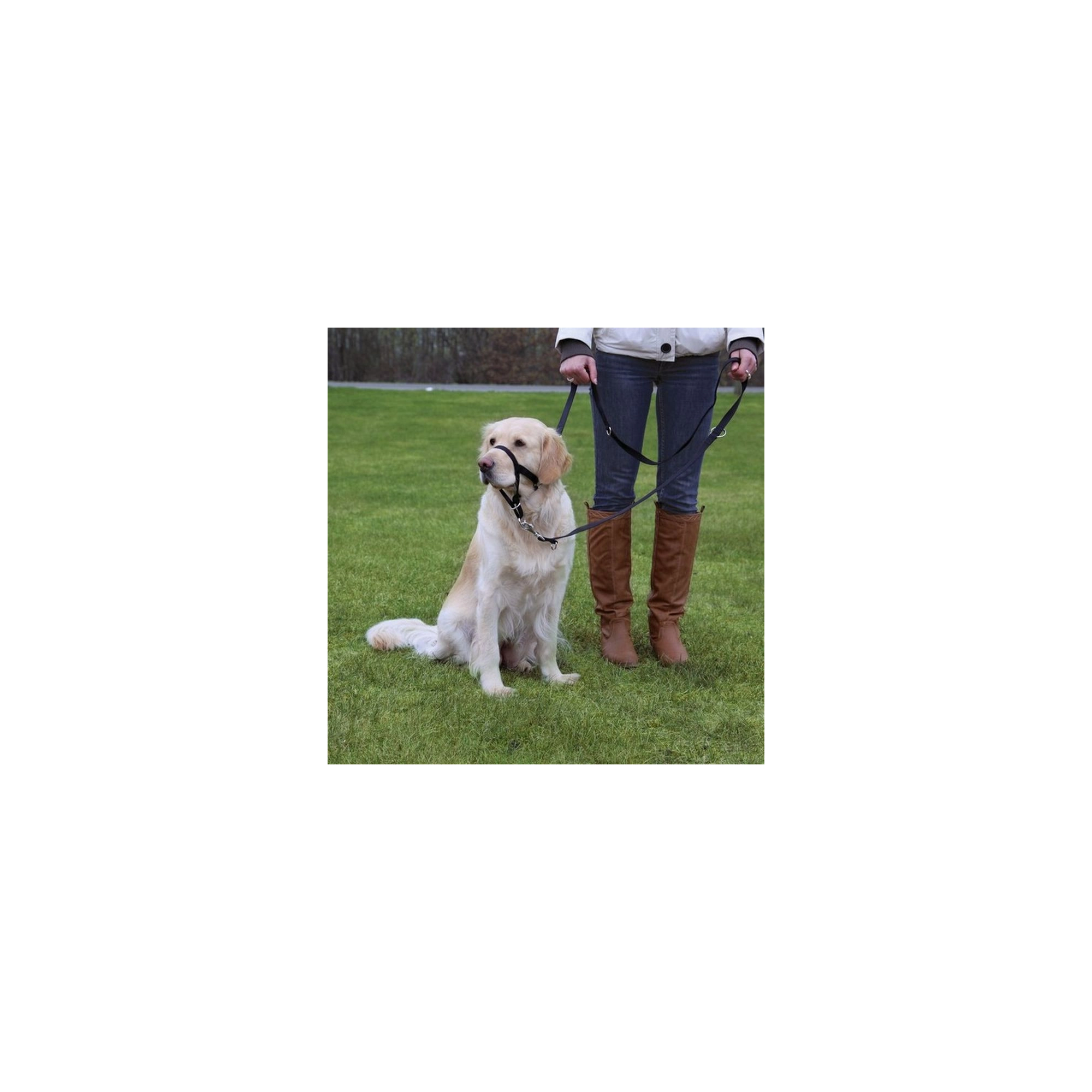 Trixie Hám Top Trainer L 31cm,fekete
