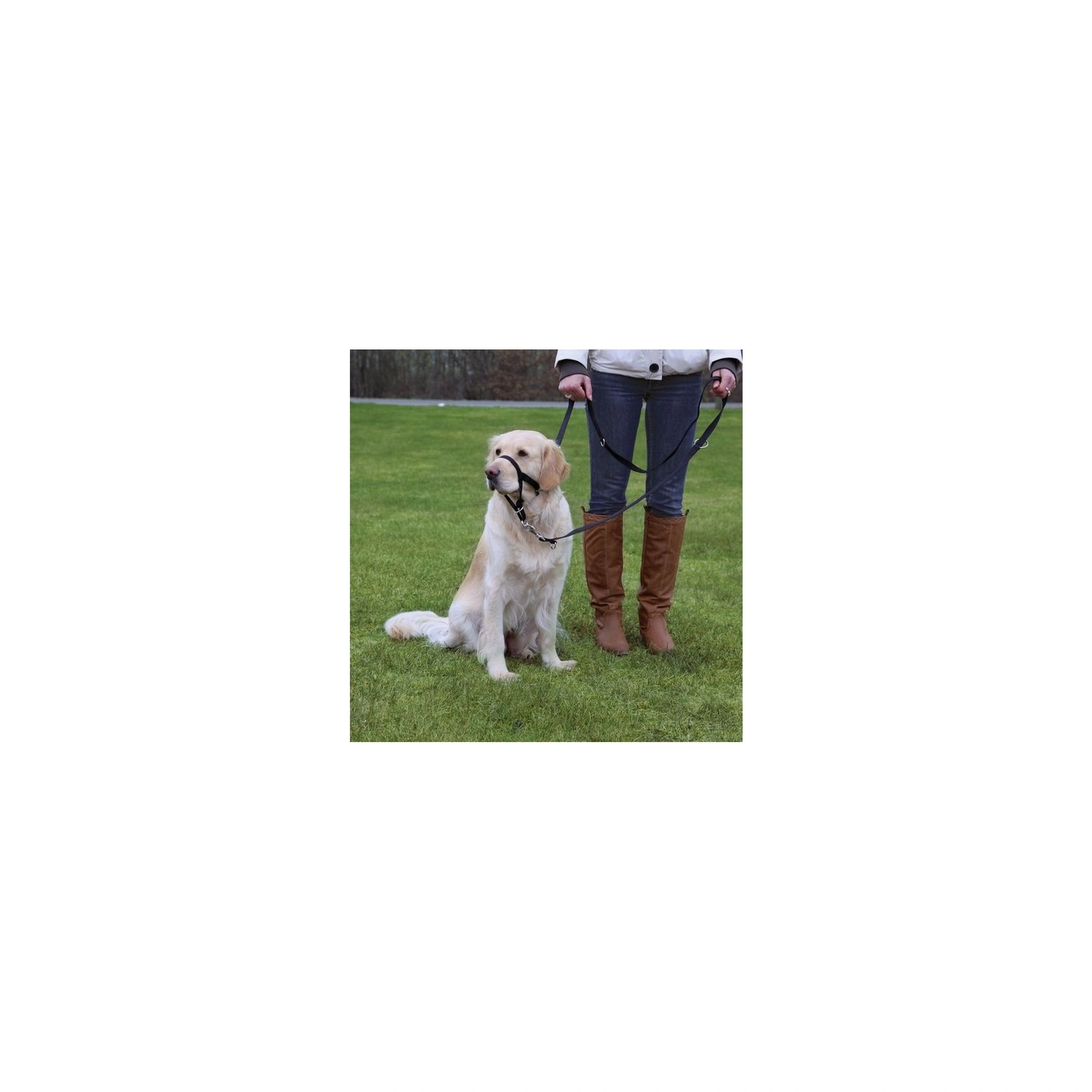 Trixie Hám Top Trainer L 31cm,fekete