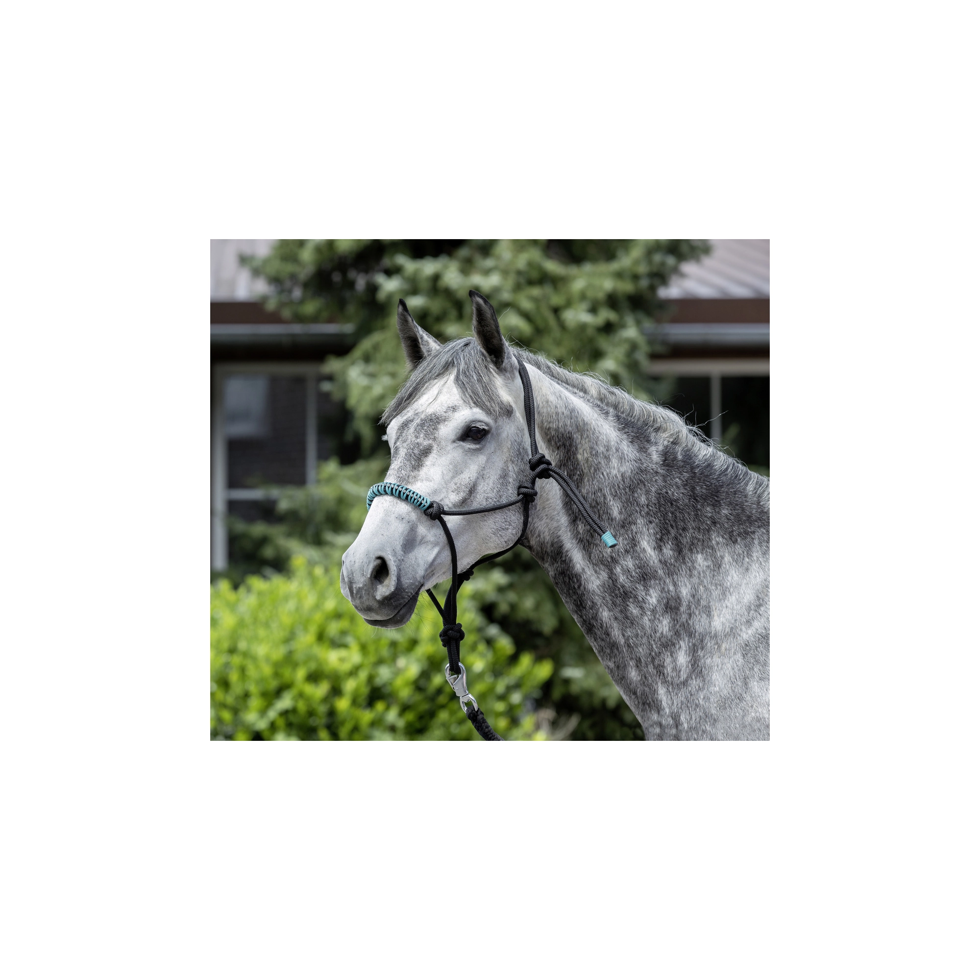 USG Díszített csomózott kötőfék, fekete, cob/full