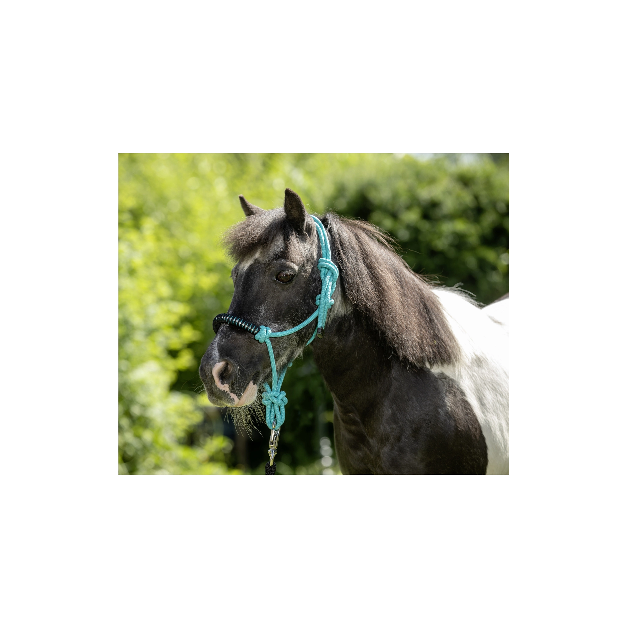 USG Díszített csomózott kötőfék, türkiz, cob/full